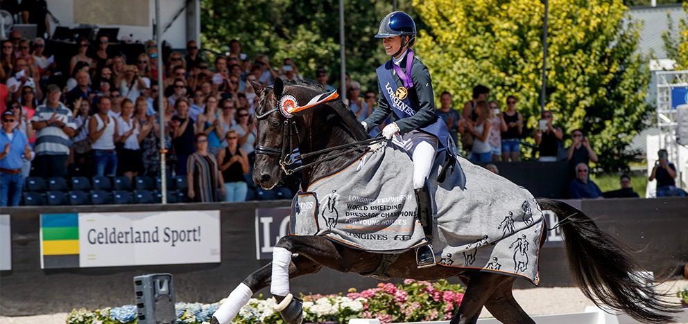 about-us-img-1_0003_Equestre