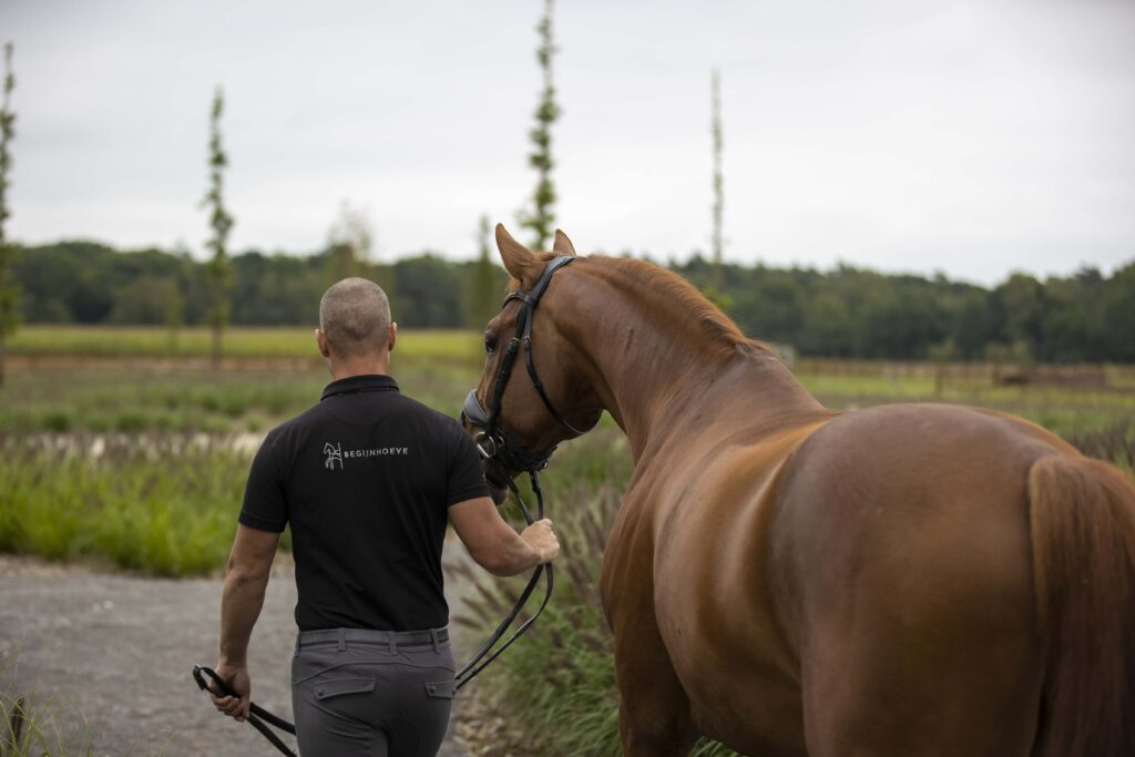 Equestre
