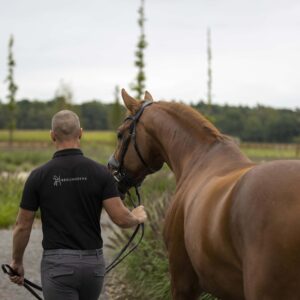 Equestre